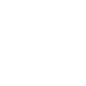 car icon